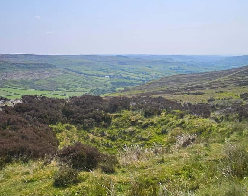 From York: North Yorkshire Moors, Villages & Whitby Day Tour - A small-group Moors day that feels personal, not packaged