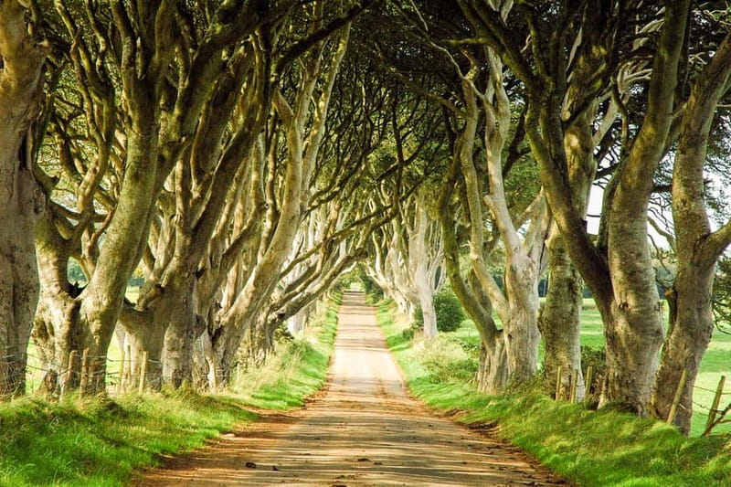 Game of Thrones & Giant's Causeway: Guided Tour from Belfast - Melisandre’s cave vibes and the Arya-linked Carnlough stop