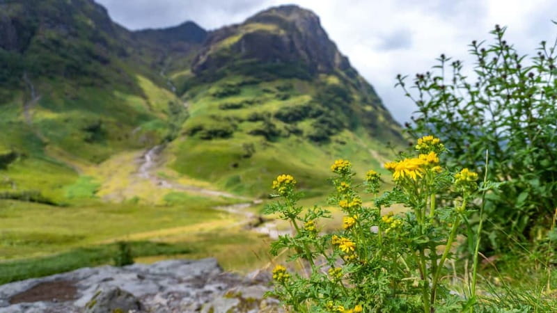 Glasgow: Mountains, Glens & The Loch Ness Monster Day Tour - Buchanan Street start and the day timing you should expect