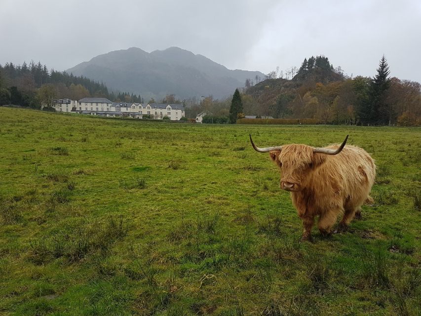 Greenock: Shore Excursion to Stirling Castle and Loch Lomond - Key Highlights You Should Care About