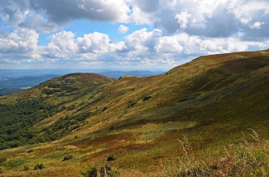 Greenock: Shore Excursion to Stirling Castle and Loch Lomond - How to make this day feel like your kind of Scotland
