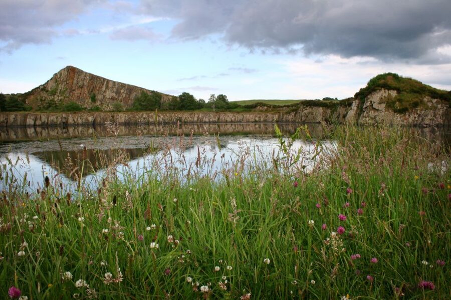 Hadrian's Wall: 4.5-Hour Guided Tour - Hadrian’s Wall and Vindolanda in one 4.5-hour hit