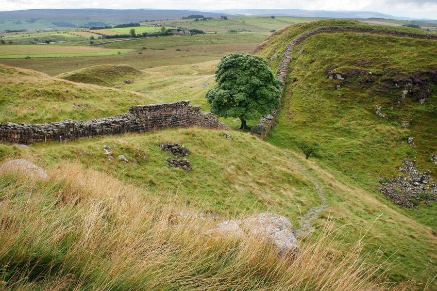 Hadrian's Wall: 4.5-Hour Guided Tour - The guide experience, humor included, and how you can get more out of it