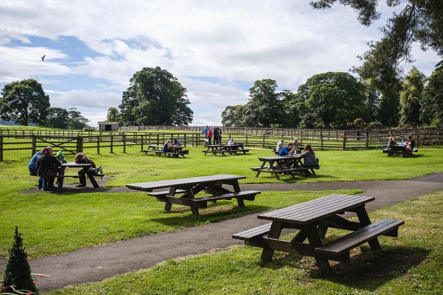 Hadrian's Wall: Chesters Roman Fort and Museum Entry Ticket - Headquarters, hall, and the regimental shrine