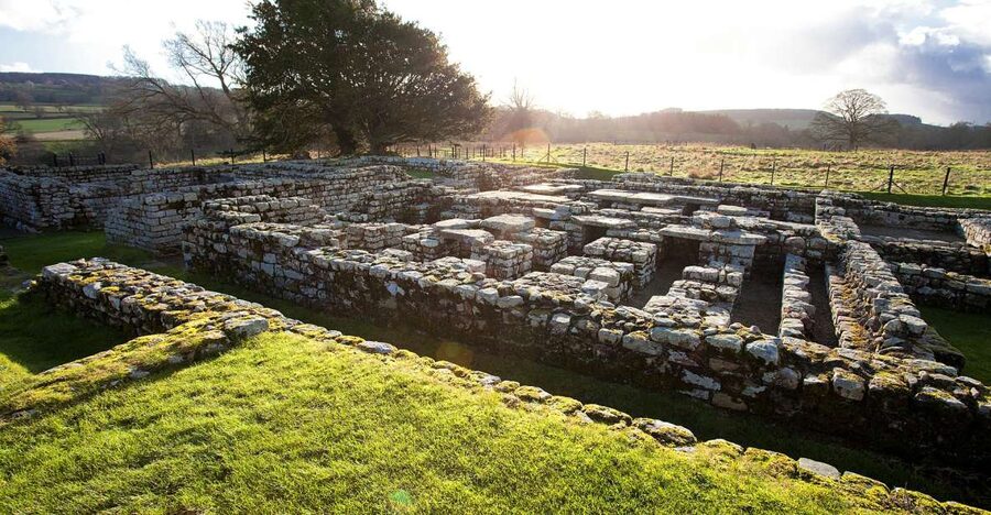 Hadrian's Wall: Chesters Roman Fort and Museum Entry Ticket - Clayton Museum and the e-reader setup