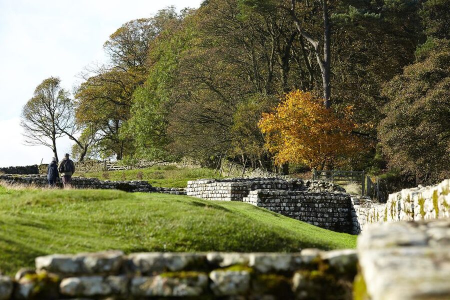 Hadrian's Wall: Housesteads Roman Fort Entry Ticket - Price and value: what $13 buys you at Housesteads