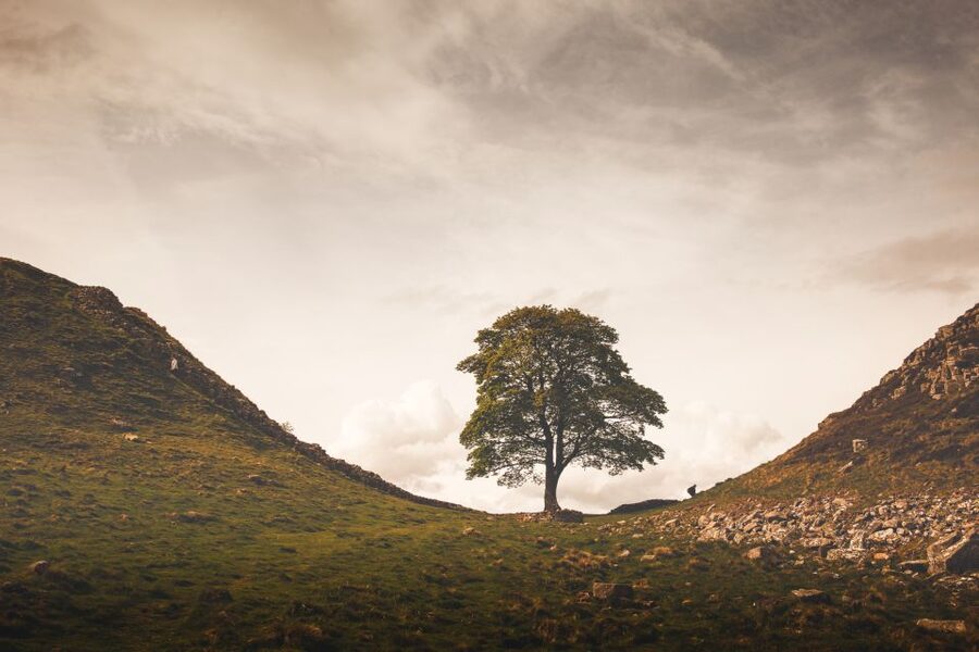 Hadrian's Wall & Roman Britain 1-Day Tour from Edinburgh - Lanercost and the Western Gateway Perspective