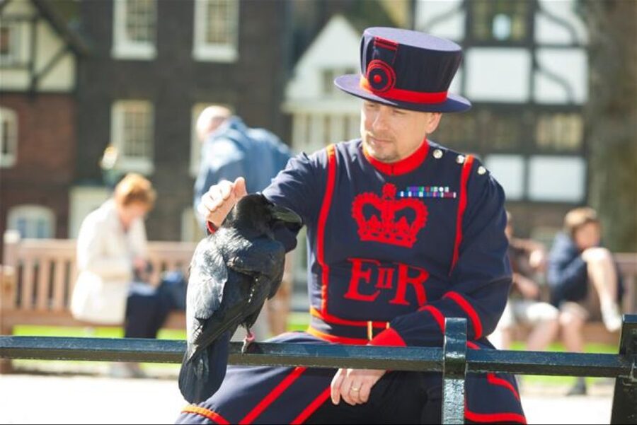 Hop on Hop off London Bus Tour & Tower of London - Where the bus stops take you, and what to do once you get off