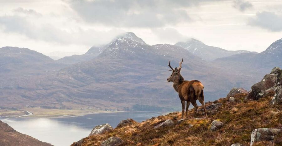 Inverness: Applecross, Loch Carron & Wild Highlands Day Tour - Why Applecross from Inverness Works So Well in One Day