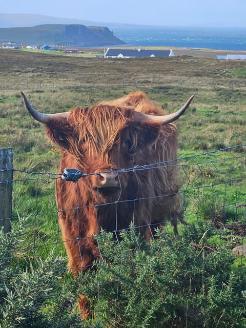 Isle of Skye: Tour the highlights and hidden beauties. - Key moments that make this Skye day feel special