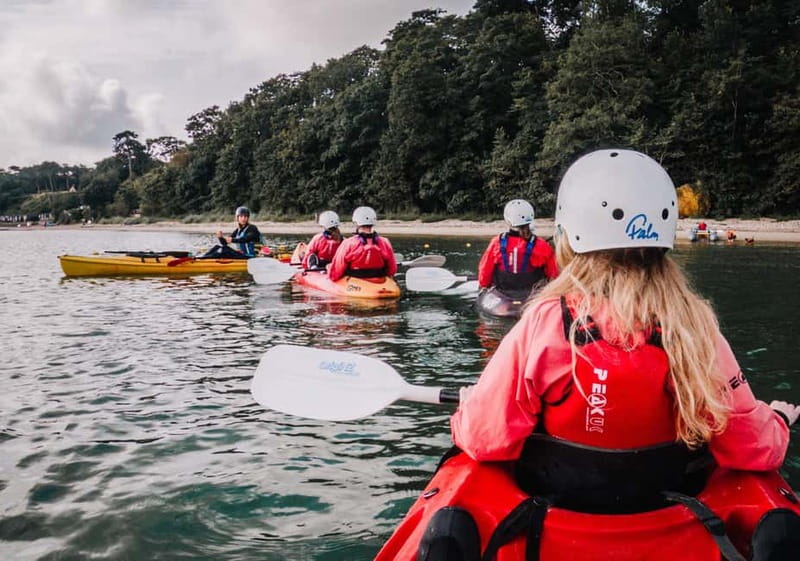 Jurassic Coast Kayaking Tour to Old Harry Rocks - Marine wildlife spotting in the Studland Bay Marine Conservation Zone