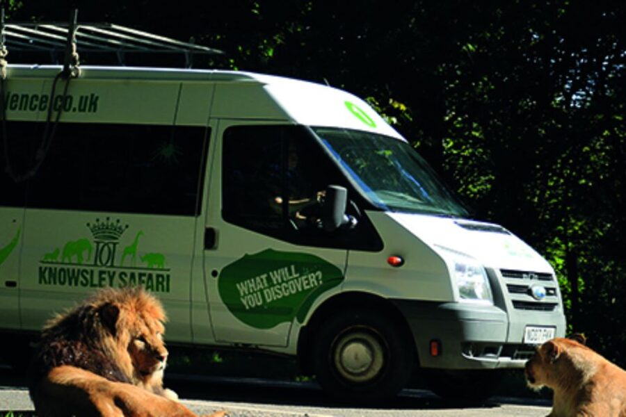 Knowsley: Safari Entry Tickets - Animal talks and displays: learning without making it feel like homework