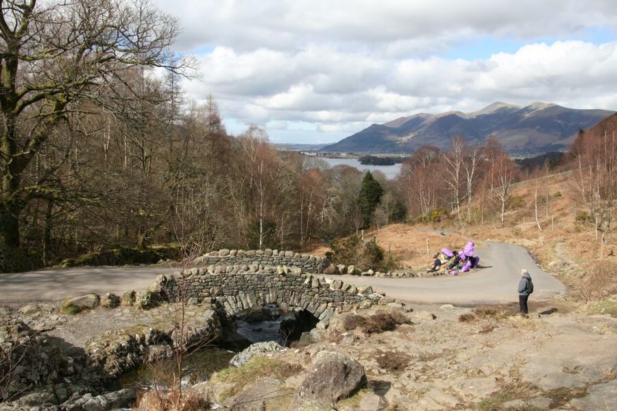 Lake District: Half-Day 8 Lakes Tour - Key Highlights to Look For