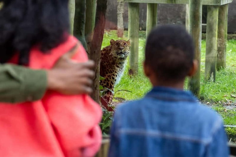Leicestershire: Twycross Zoo Entry Ticket - Price and value: what $29 buys you, and what it doesn’t