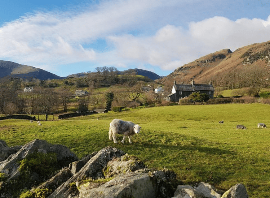 Liverpool: Lake District Tour with Lake Cruise - Key things that make this Lake District day trip work