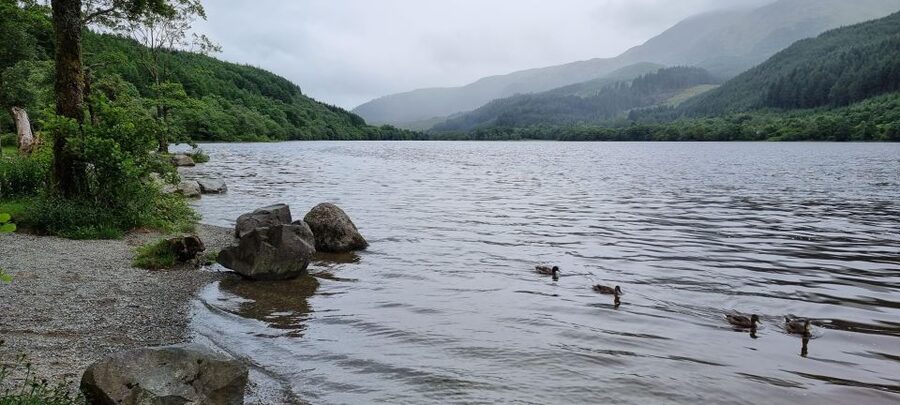 Loch Lomond and The Highlands Day Tour - Stop One: Loch Lomond and the Trossachs National Park in 30 Minutes
