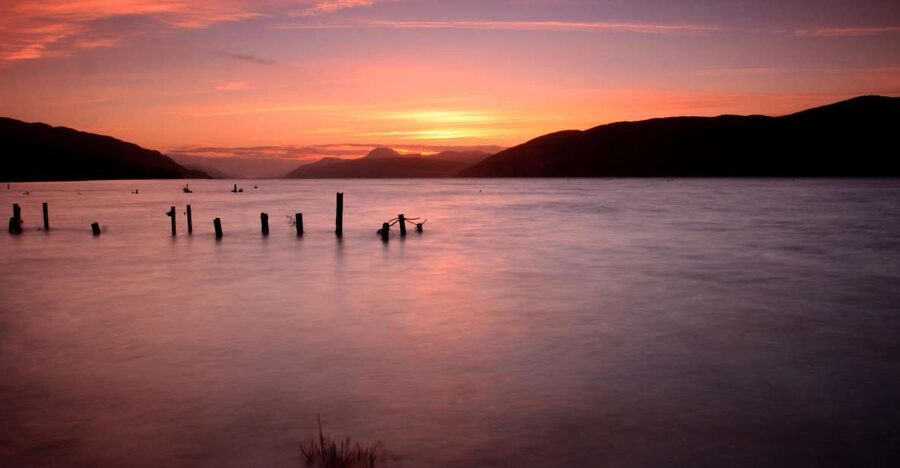 Loch Ness, Inverness, & Highlands 2-Day Tour from Edinburgh - Ancient Caledonian Pine Forest Walk: A Calm Moment in the Middle of Driving