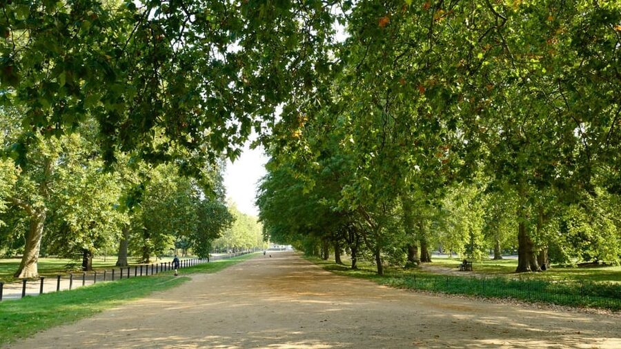London: 24-Hour Hop-On Hop-Off Bus Pass - Landmarks Tour: from Westminster to the Tower, best use of your time