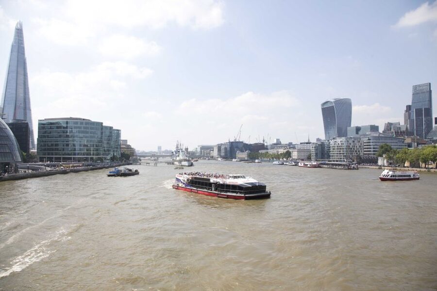 London: Afternoon Tea Cruise on the River Thames - Who should book this cruise, and who should think twice