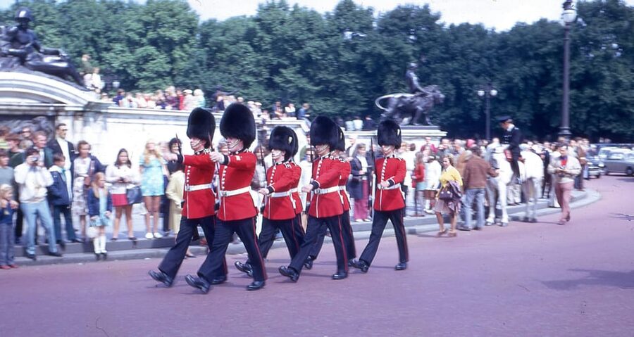 London: Buckingham Palace and Changing of the Guards Tour - Key Highlights You Will Actually Use