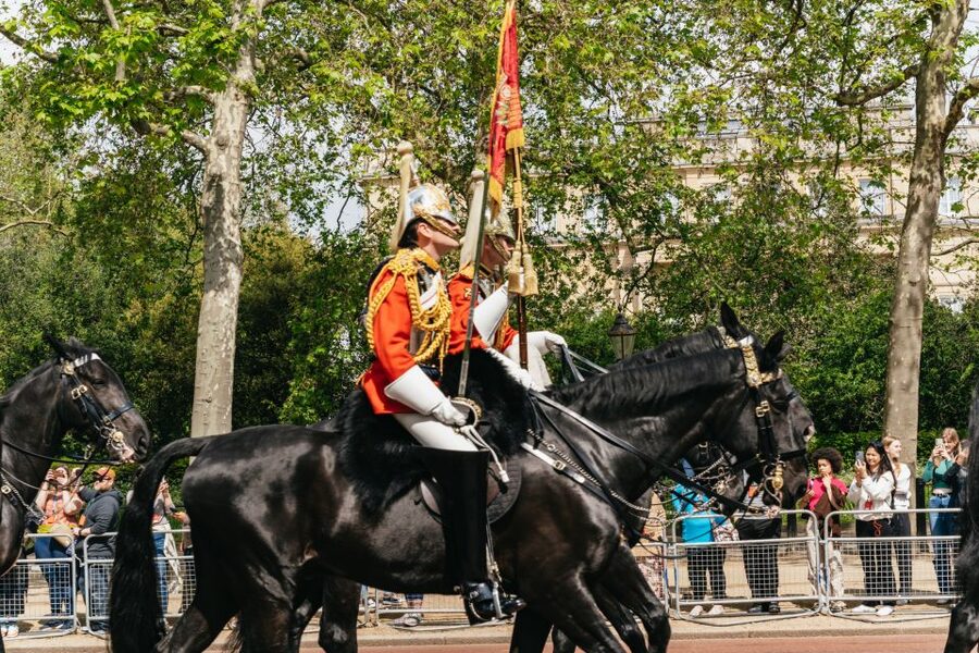 London: Changing of the Guard Tour by Buckingham Palace - Meet at the Duke of York Monument, then move smart