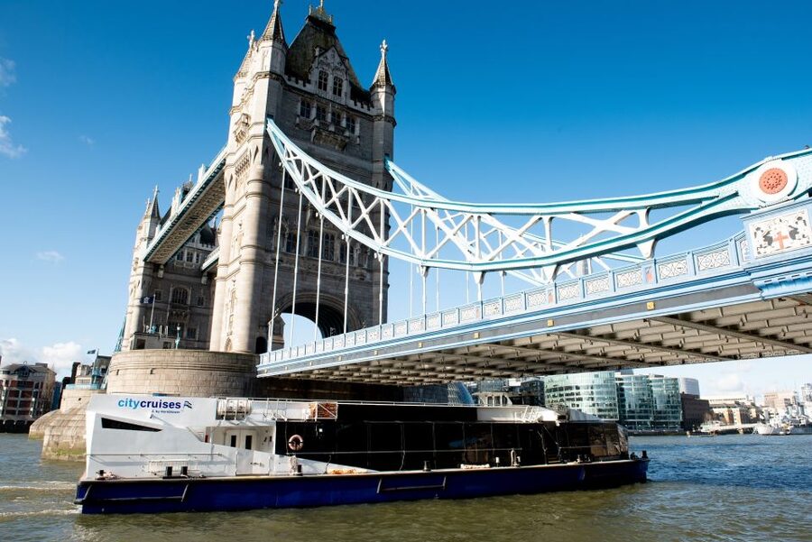 London: Christmas Day Sightseeing Cruise - The holiday lighting loop past Parliament, Tower Bridge, and more