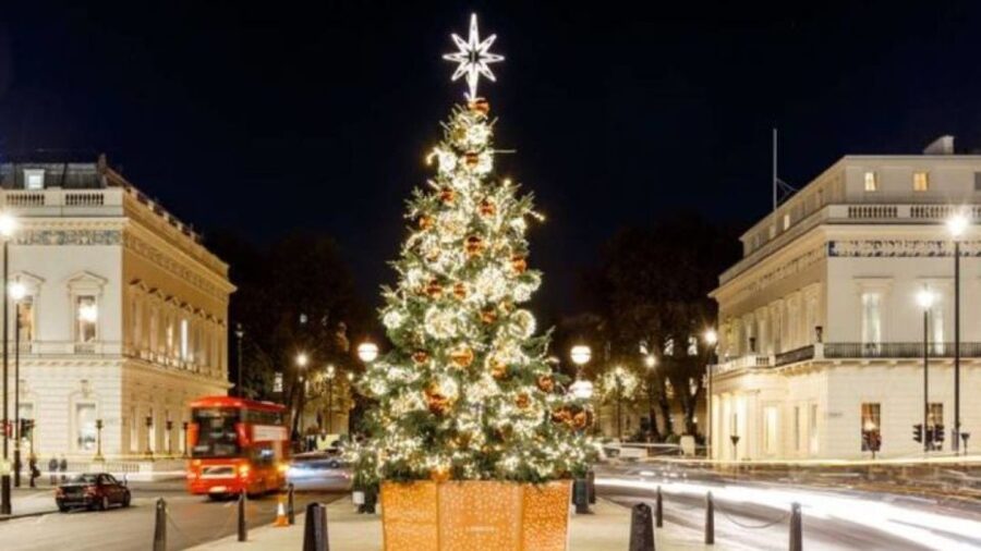 London: Christmas Lights Tour, Mince Pies, & Festive Drinks - Where to Meet Near Victoria, and What to Do Before Boarding