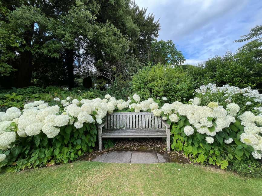 London: Downton Abbey Tour with Highclere, Bampton & Oxford - The day’s pacing: lunch time, coach ride rhythm, and when you get back