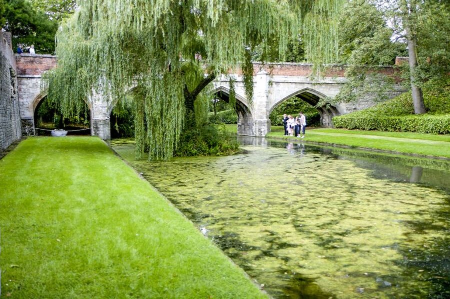London: Entry Ticket to Eltham Palace and Gardens - Art Deco Marvel Inside: Entrance Hall, Dining Room, and the Courtauld Story