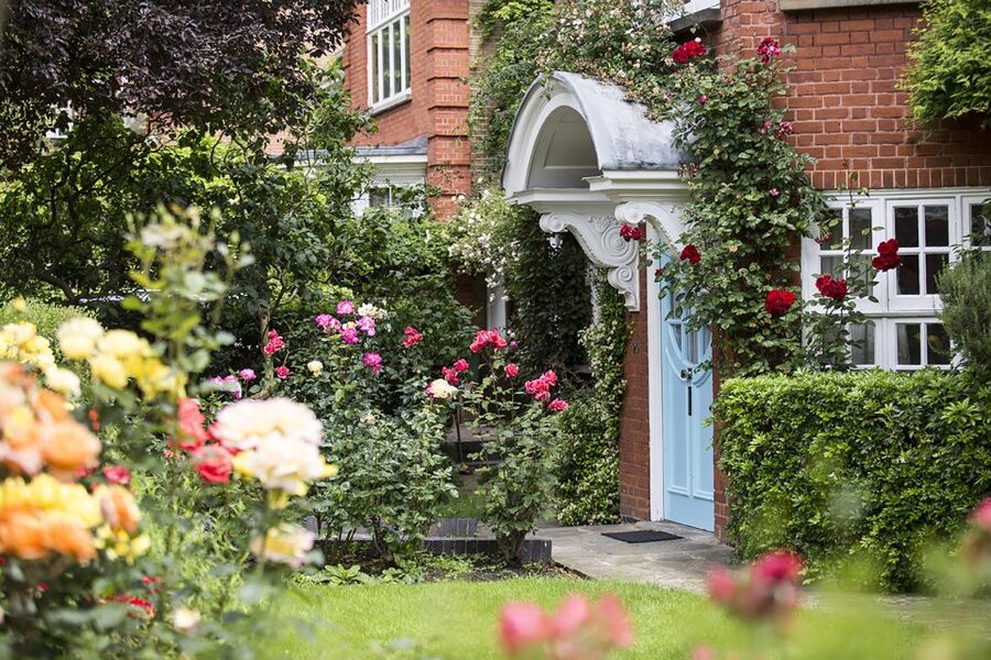 London: Freud Museum Entry Ticket - Freud’s desk, antiquities, and a quiet sense of obsession