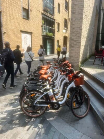 Guided E-bike Tour