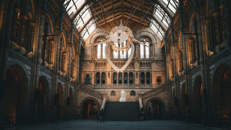 London: Guided Tour of the Natural History Museum - Getting Oriented at the Natural History Museum Entrance and Evolution Garden