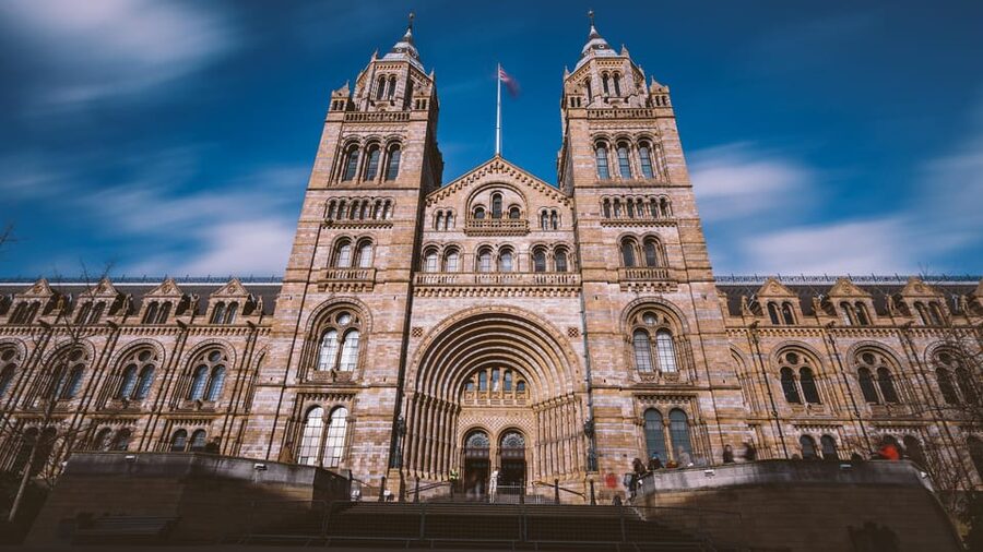 London: Guided Tour of the Natural History Museum - Marine Life and the Blue Whale Skeleton Overhead