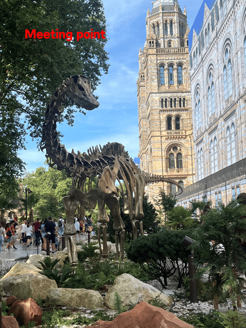 London: Guided Tour of the Natural History Museum - Should You Book This Natural History Museum Guided Tour?