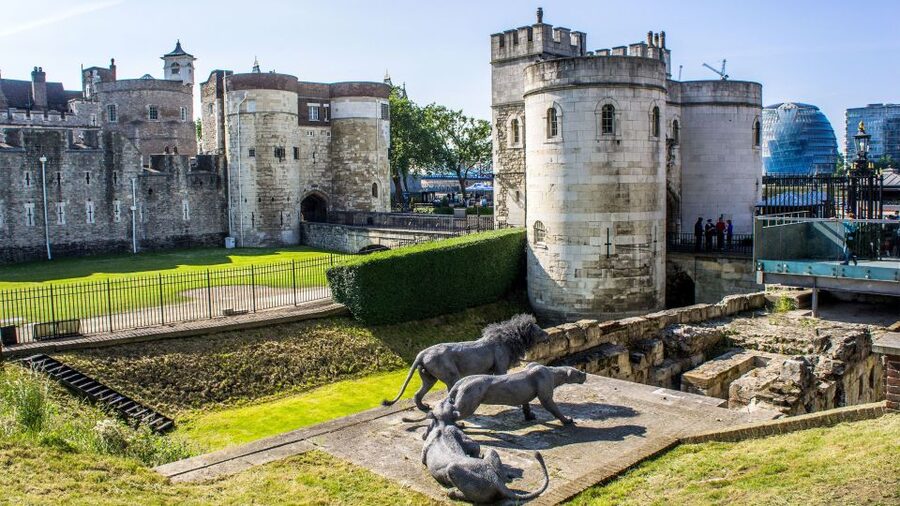 London: Harry Potter Walking Tour and Tower of London Entry - Tube journeys and what you need to ride smoothly
