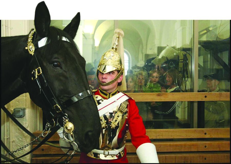 London: Household Cavalry Museum Entry Ticket - The House Guards story, Life Guards, and Blues and Royals