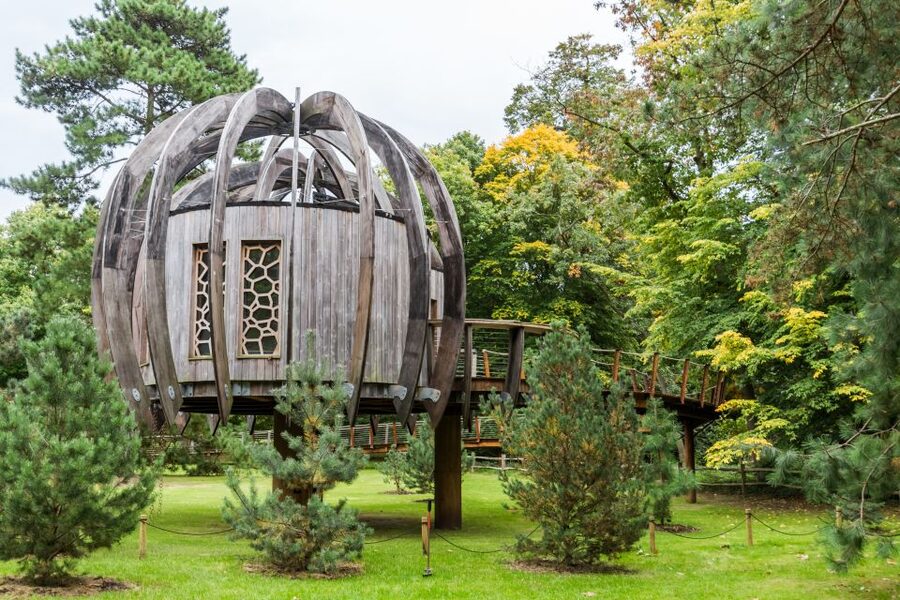 London: Kew Gardens Admission Ticket - Waterlily House and the Palm House rainforest, the two glasshouse experiences that anchor your day
