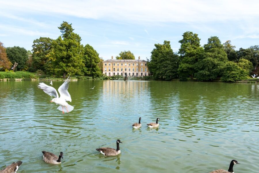 London: Kew Gardens Admission Ticket - The Hive beehive installation and the Arboretum tree collection