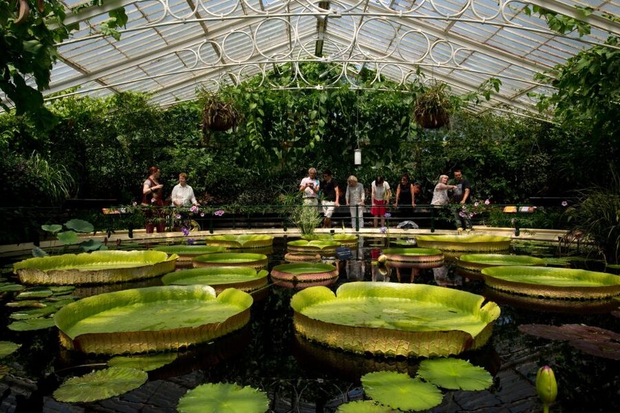 London: Kew Gardens Admission Ticket - Free walking tours, art galleries, and how to keep your visit from feeling random
