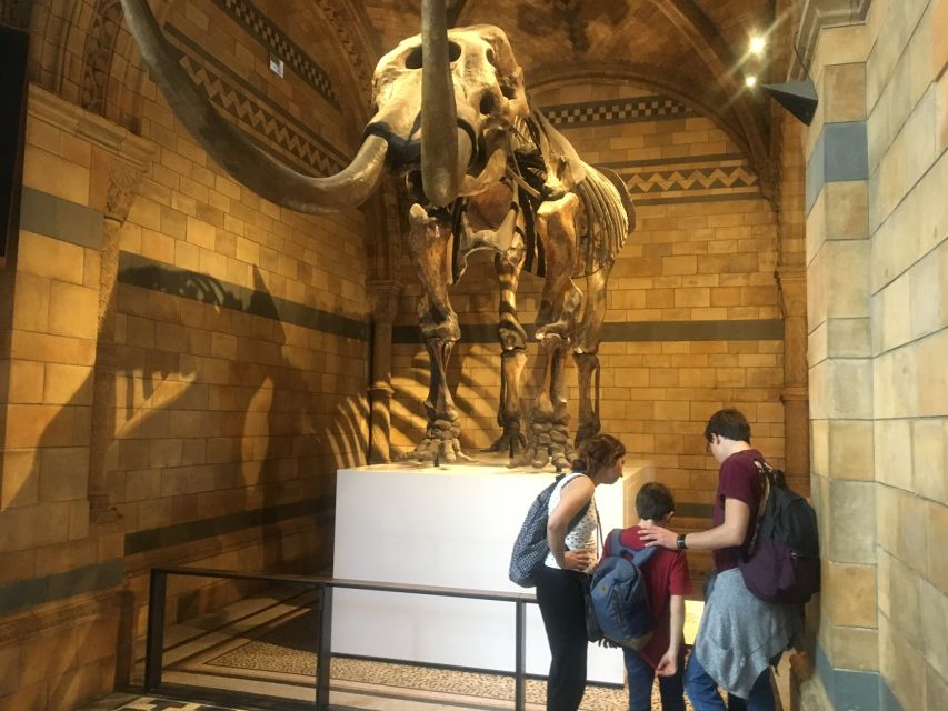 London: Natural History Museum Entry Ticket and Guided Tour - Why This Natural History Museum Tour Works in Just 60 Minutes