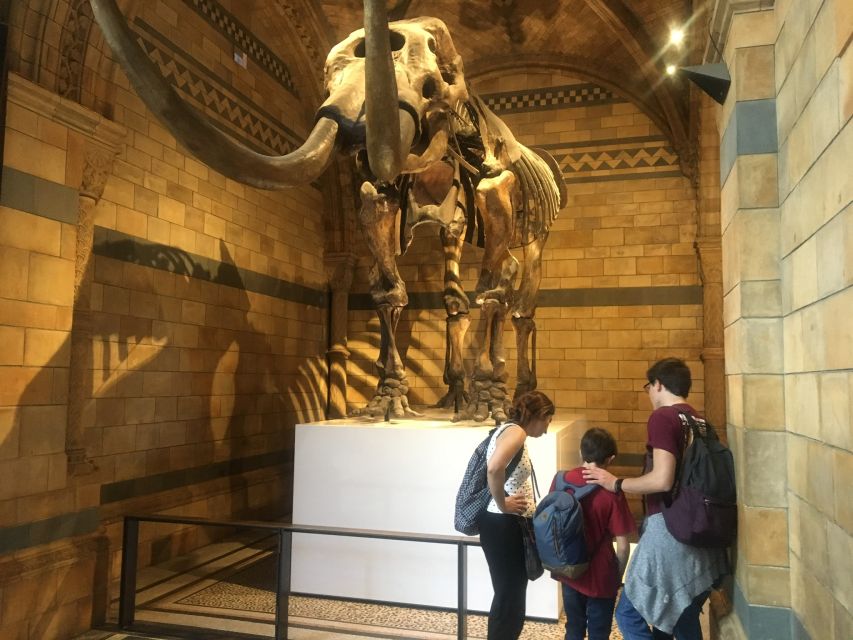 London: Natural History Museum Entry Ticket and Guided Tour - Price and Value at $76 Per Person