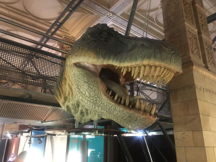 London: Natural History Museum Entry Ticket and Guided Tour - How the Guide Adds Context (and Why It Matters)