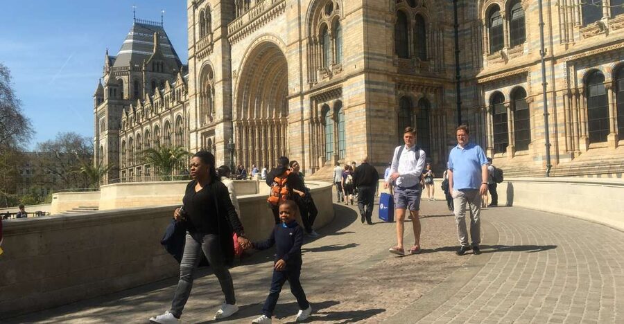 London: Natural History Museum Entry Ticket and Guided Tour - Should You Book This Natural History Museum Guided Tour?