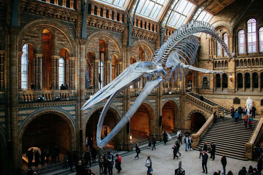 London: Natural History Museum Express Tour & Audio App - The 30-Minute Guided Intro: Exterior First, Then In