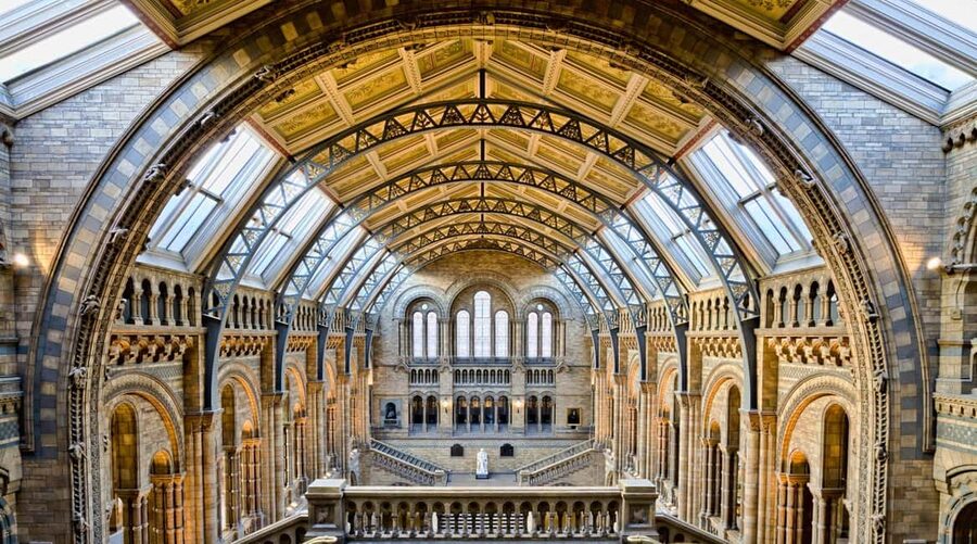 London: Natural History Museum Express Tour & Audio App - Price and Value: Why It Costs $10 and When It Feels Worth It