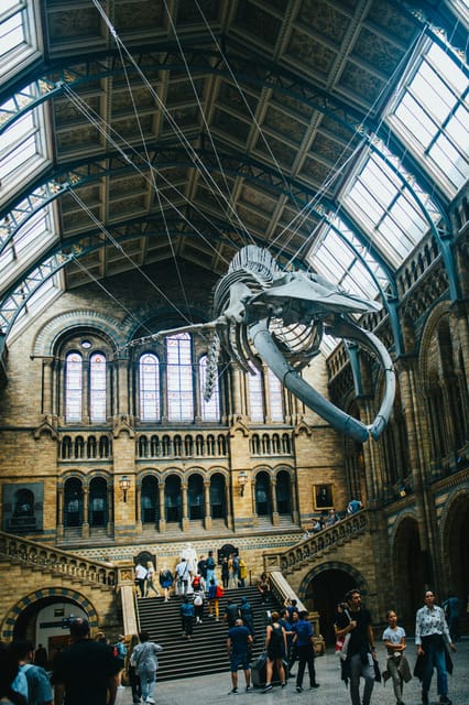 London: Natural History Museum Guided Tour - Key highlights that make this tour worth your time