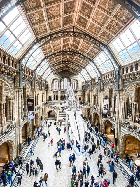 London: Natural History Museum Guided Tour - Turning the Natural History Museum into a story in 2.5 hours