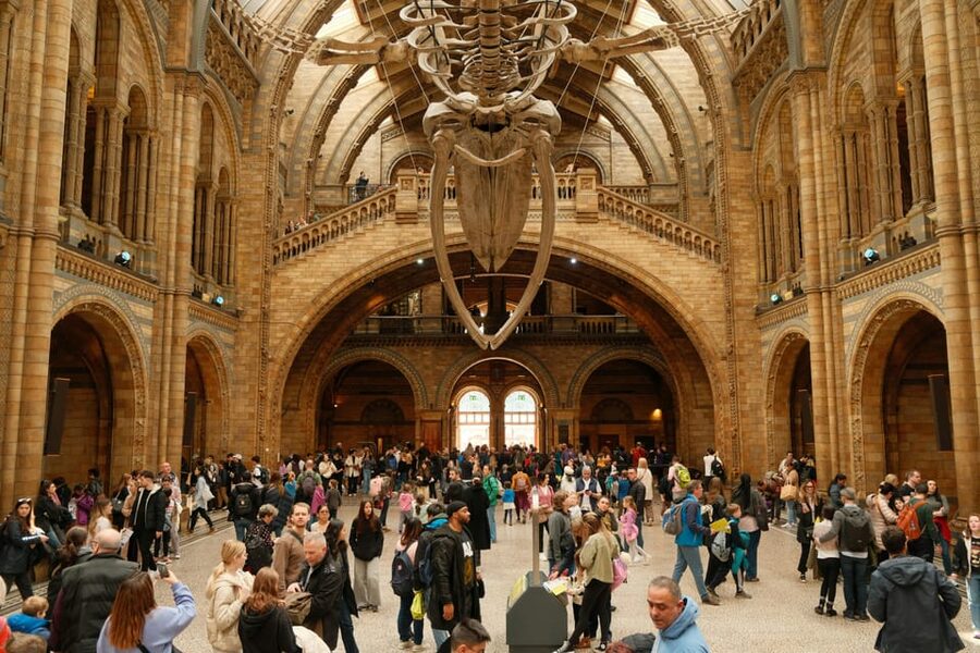 London: Natural History Museum Guided Tour - Pompeii casts and the dark side of curiosity