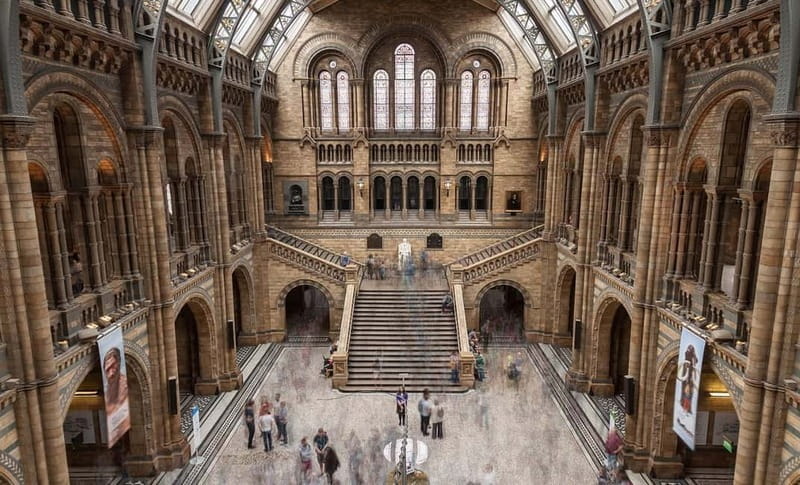 London: Natural History Museum Guided Tour w/ Priority Entry - Finding your footing inside the Natural History Museum