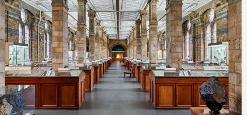 London: Natural History Museum Guided Tour w/ Priority Entry - Where this tour is a great match, and where it is not